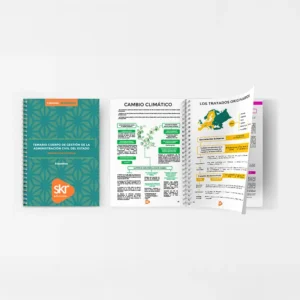 Esquemas Gestión del Estado Promoción interna de Academia de oposiciones SKR - material editorial para el máster, diplomados y las oposiciones.