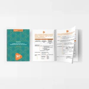 Esquemas Gestión del Estado de Academia de oposiciones SKR - material editorial para el máster, diplomados y las oposiciones.