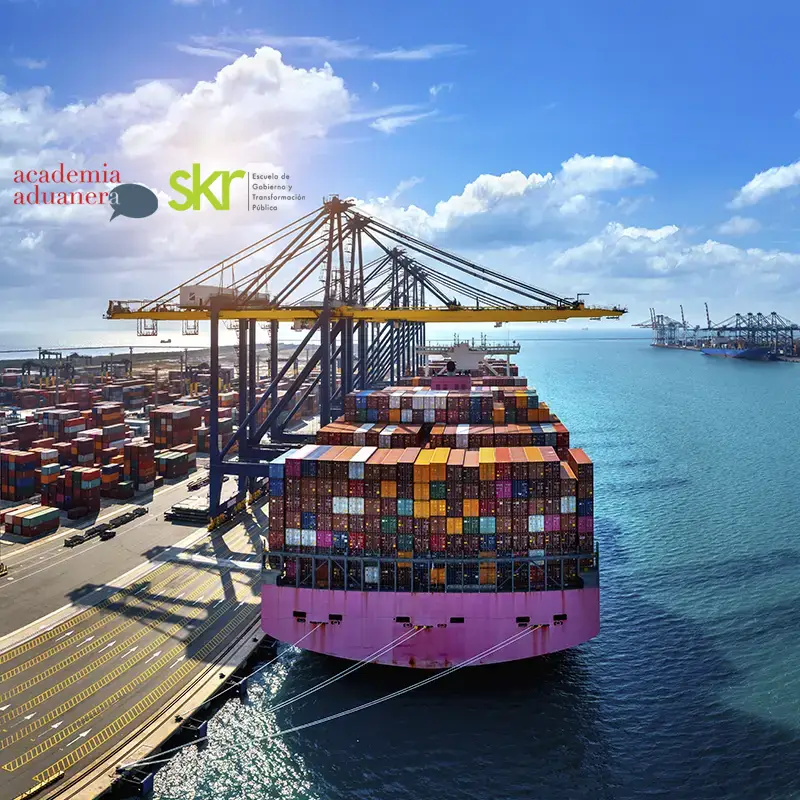 Máster en Derecho Aduanero y Comercio Internacional - SKR Escuela de Gobierno Thumbnail